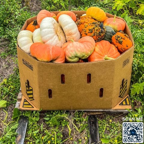 A AEE FE B BC E F D DEC